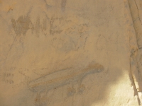 Mountain Lion Petroglyph